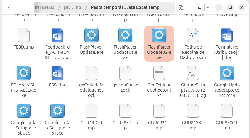 Flash player Google update