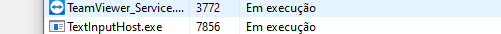 Programa Team Viewer e Text input em execução