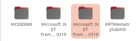 Microsoft Net Framework