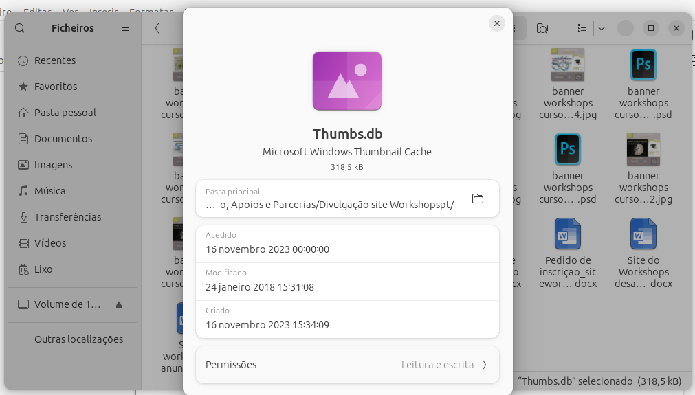 ficheiro thumbs db Microsoft