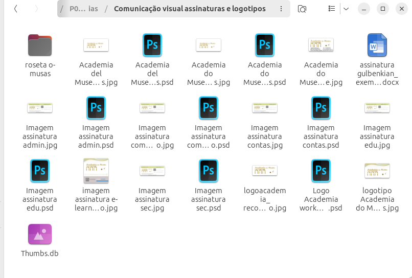 ficheiro thumbs db cache windows